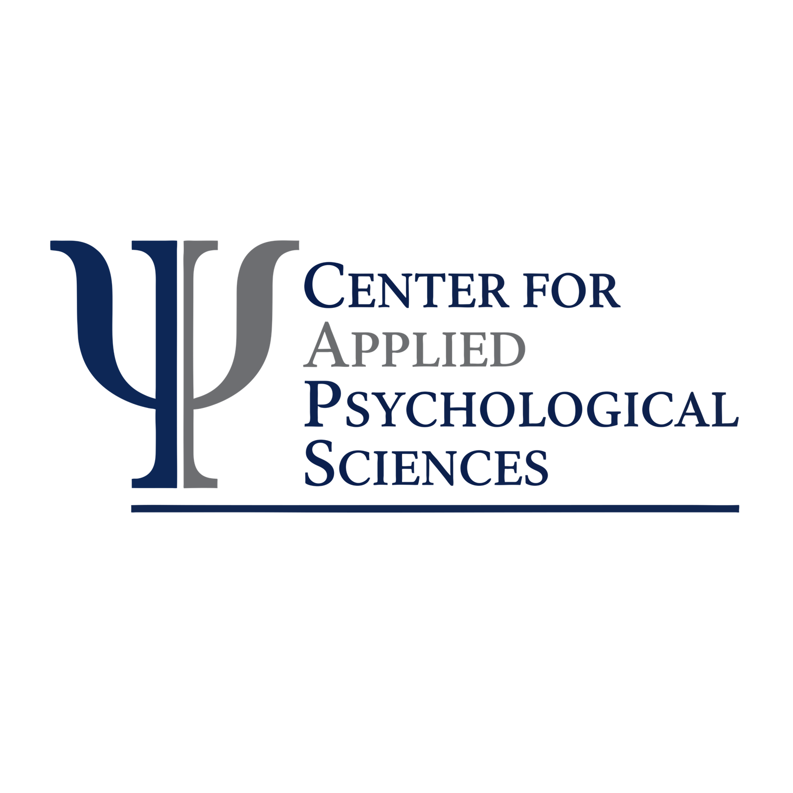 Precision Psychological Testing